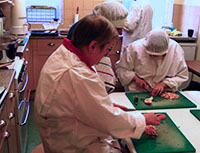 image of people working in the kitchen